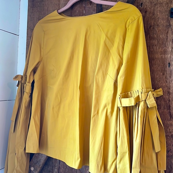 Mustard Yellow Ruffled Sleeve Cotton Top - Picture 2 of 5